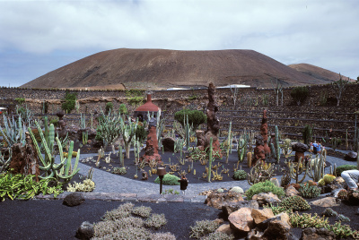Kaktusgarten, Jardin de Cactus - kleine Darstellung